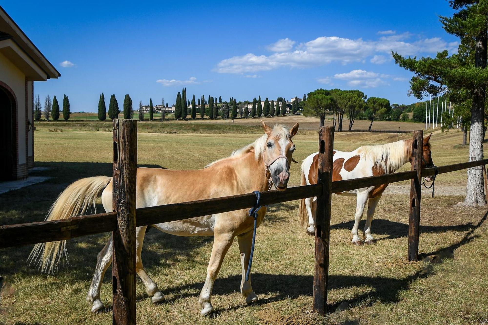 La Bagnaia Golf Resort Dış mekan fotoğraf